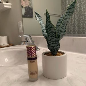 Tarte foundation